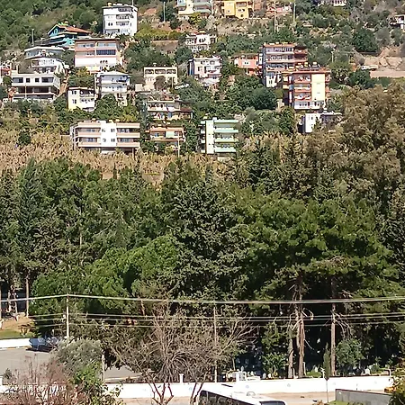 Szálloda Livaneli Boutique Alanya