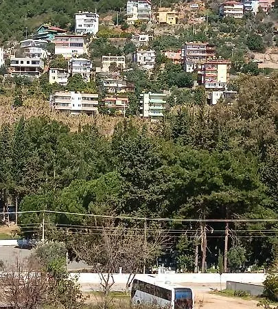 Livaneli Boutique